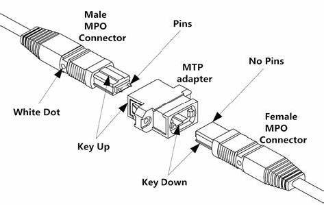 12F MPO-MPO 트렁크 케이블 접속구의 형태